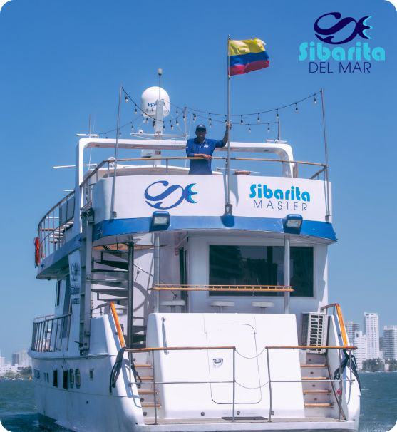 Qué Hacer en Cartagena, Colombia - Sibarita del Mar