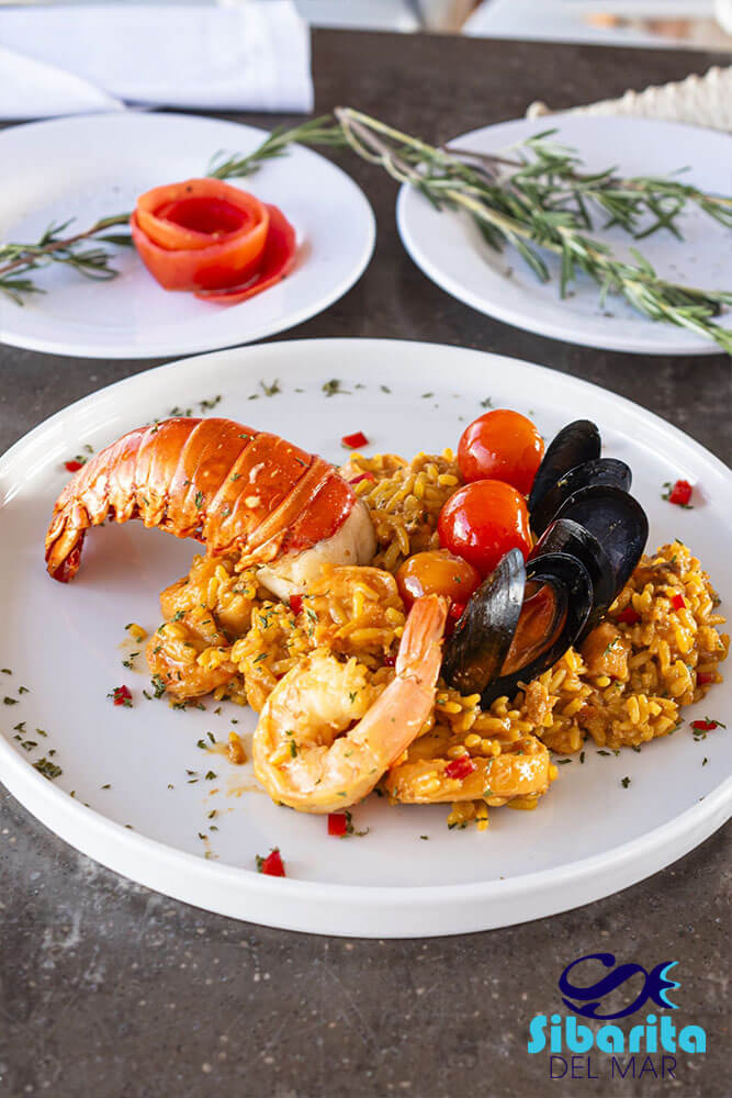 Qué Hacer en Cartagena, Colombia - Sibarita del Mar